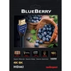 Kép 5/5 - AudioQuest BlueBerry HDM18BLUE150 1,5m HDMI 2.1 kábel