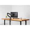 Kép 6/14 - DIGITUS gázrugós C-bilincses univerzális (VESA 75 / 100) 1-es fekete monitor tartó konzol