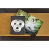 DVD-R lemez, AZO, 4,7GB, 16x, 50 db, hengeren, VERBATIM