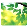 Kép 3/3 - Egéralátét, újrahasznosított, FELLOWES "Earth Series™", levelek