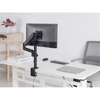 Kép 5/12 - EQuip 17"-32" Monitor Desk Mount Bracket Black