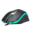 Kép 3/13 - Everest SM-G97 GANK RGB Gaming Optical Mouse Black