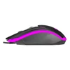 Kép 4/13 - Everest SM-G97 GANK RGB Gaming Optical Mouse Black