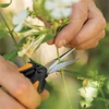 Metszőolló, micro-tip, FISKARS 