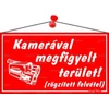 Piktogram Kamerával megfigyelt terület! piros