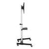 Sbox FS-444 Mobi floor 37