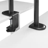 Kép 5/8 - Sbox LCD-351/1-2 17"-32" dönthető, forgatható asztali monitor tartó konzol