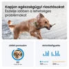 Kép 5/10 - Tractive GPS DOG XL zöld kutya GPS nyomkövető és tevékenységfigyelő