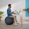 Kép 3/15 - Ülőlabda, LEITZ "Ergo Cosy", bársonyszürke