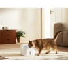 Kép 6/7 - Xiaomi BHR9486EU Smart Pet Fountain 2 EU kisállat itatókút