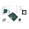 Asus Alaplap - AMD PRO A520M-C II/CSM AM4 (A520, 2xDDR4 4866MHz, 1xGBE LAN, 1xM.2, HDMI/DP/DVI/D-sub)