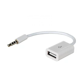 Akyga AK-AD-24 USB/MiniJack 15cm White