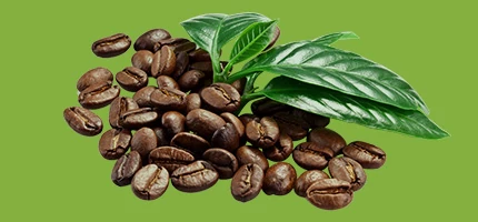 Szemes és őrölt kávé