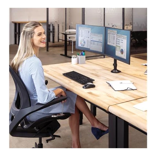 Monitortartó kar, két monitorhoz, FELLOWES, 