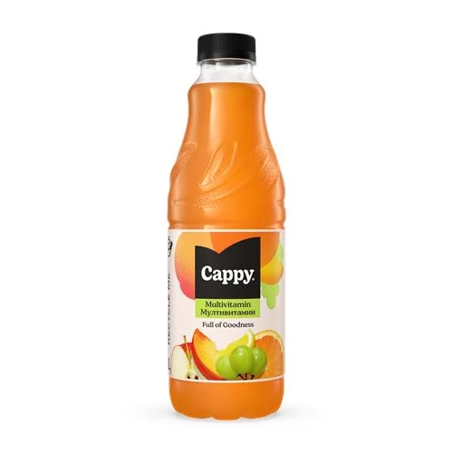 Gyümölcslé CAPPY Multivitamin 50%-os 1L DRS