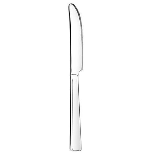 Kés, rozsdamentes acél, 21,5cm, 12db-os szett, 